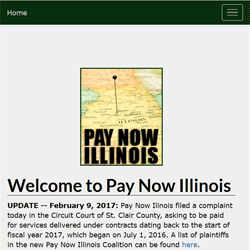 paynowillinois.com